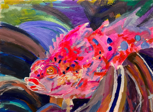 Pink Fish