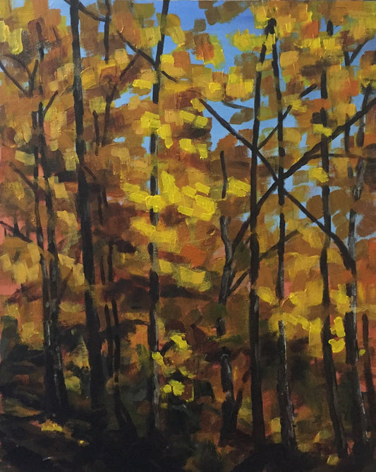 Fall Colours on Vita Parcours Sunnybrook Park - Limited Edition Print