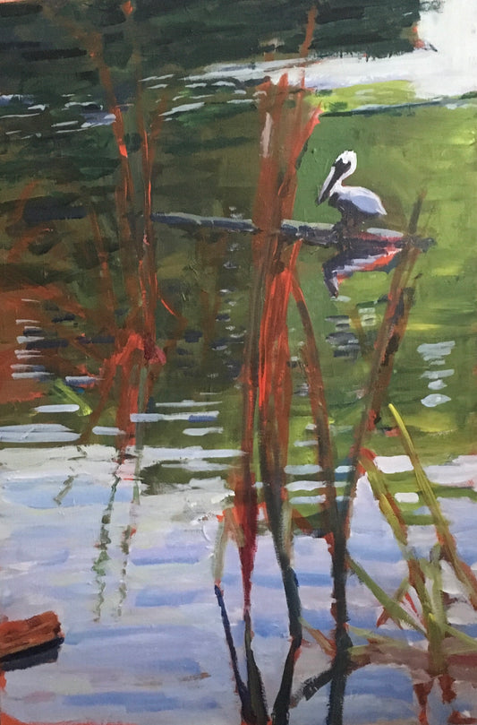 Pelican In The Pond