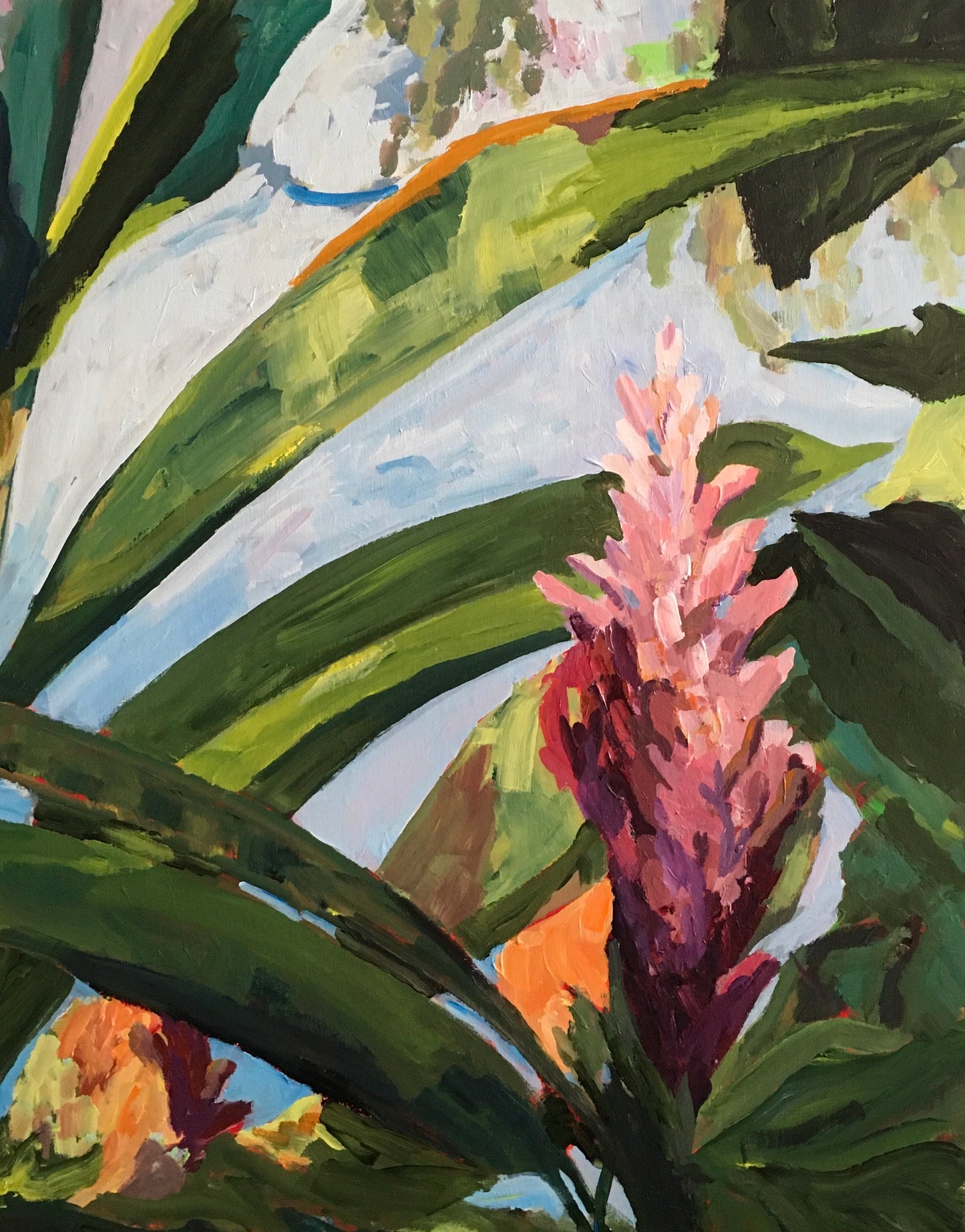 Pink Ginger