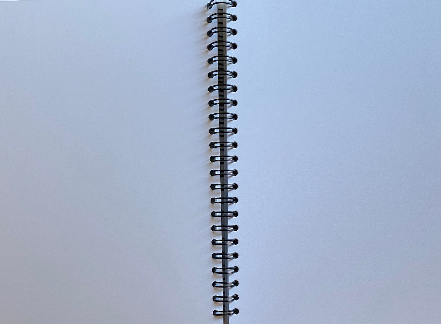 Step Into the Forest Sketchbook