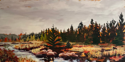 Northern Marsh