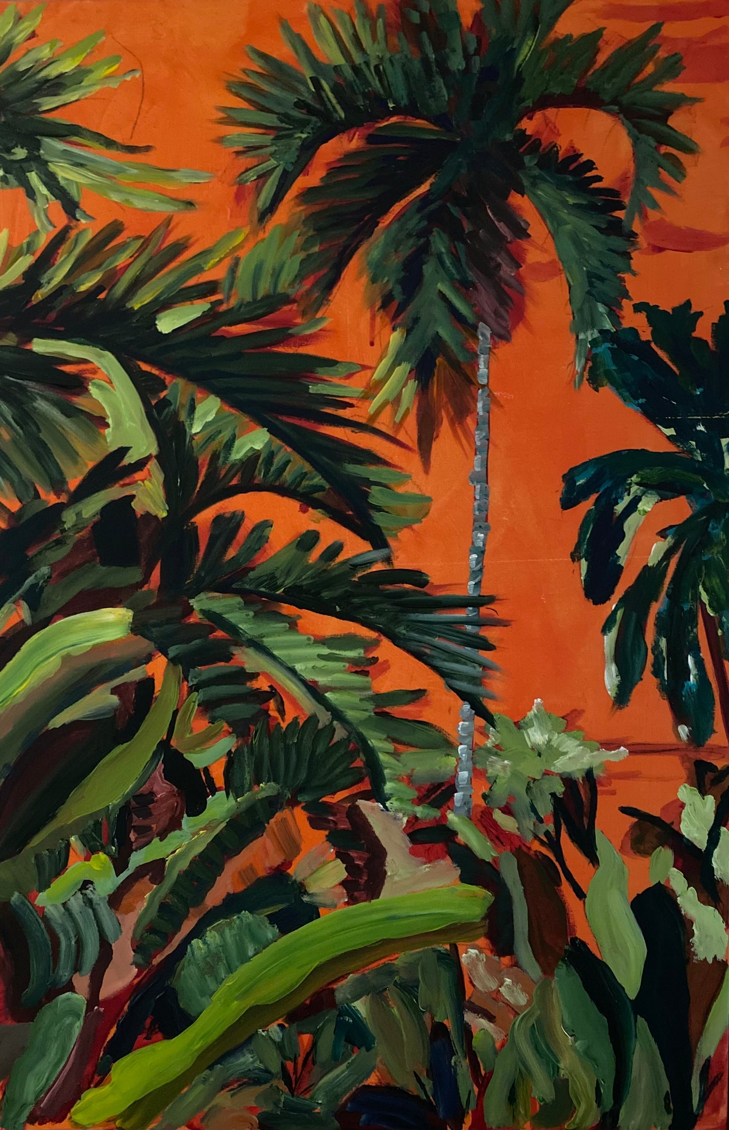 Orange Palms