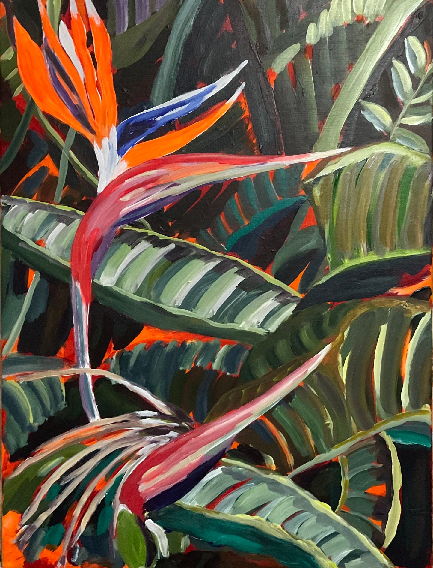 Birds of Paradise 2