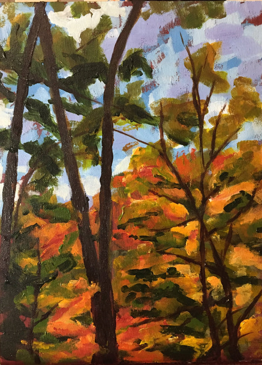 Study of Autumn Tree Canopy in Wilket Creek