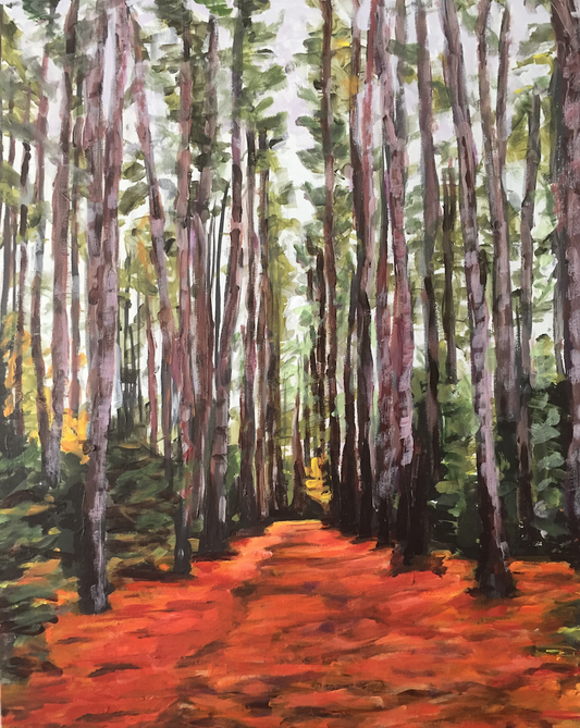 Tremblant Forest Path